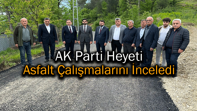 AK Parti Heyeti Yenice'de Doğal Gaz Çalışmalarını İnceledi